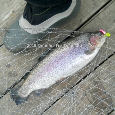 Блесна SV Fishing Lures Koketka (KA30) 30 мм. 3 г. цвет FL04