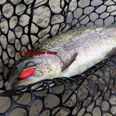 Блесна Kosadaka Trout Space Web 2.6 г. 30 мм. цвет LRO