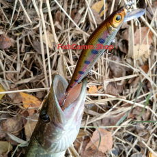 Воблер Kosadaka Vision Minnow XS 98SP NC